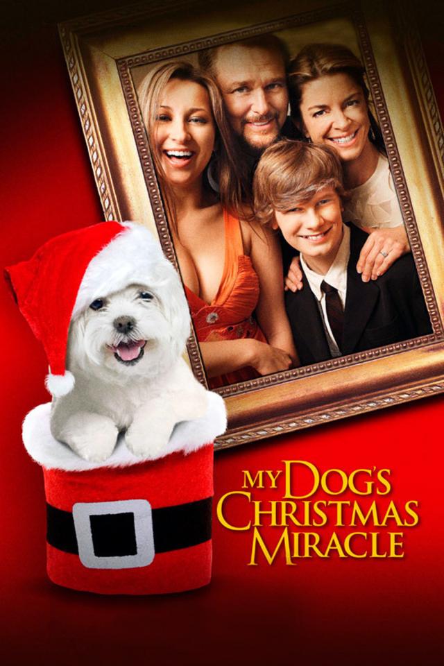 My Dog